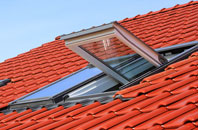 Glasdrumman roof window